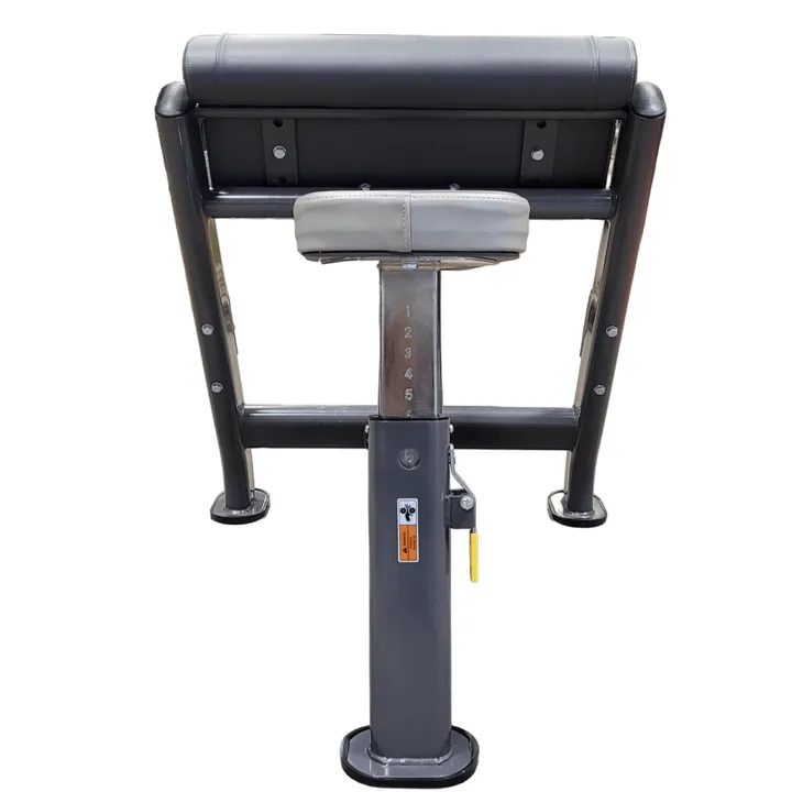Progression 33 Preacher Curl Bench